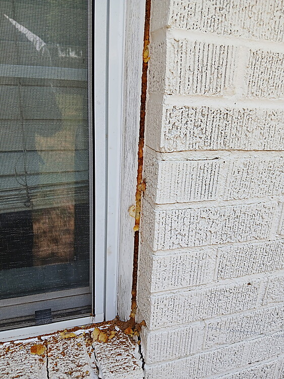 Before - gap and foam around window