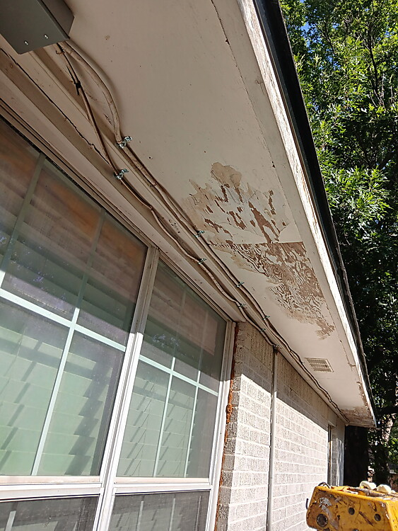 Before - peeling and damaged ceiling
