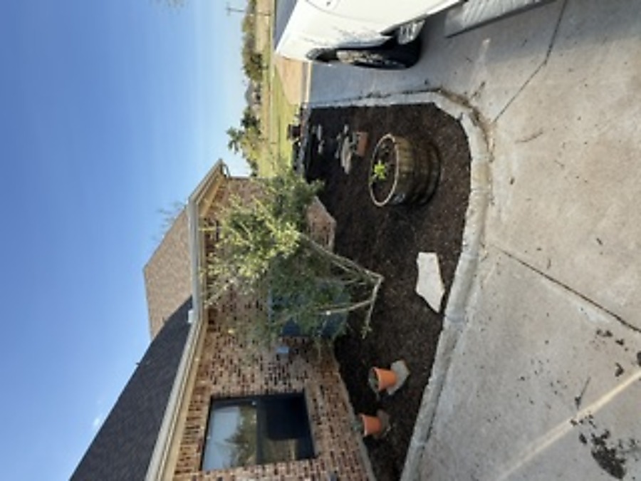 Landscaping after - cleaned mulch bed with border and planters