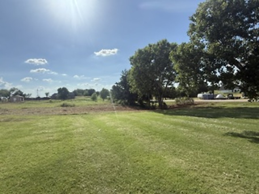 Landscaping after - open maintained lawn
